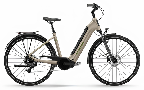 Roys Bike Shop rent ebikes Windra eBike
